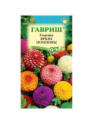 Семена Цветы, Георгина, Яркие помпоны, 0.2 г, Цветочная коллекция, цветная упаковка, Гавриш
