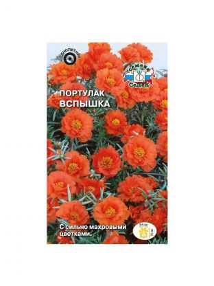 Семена Цветы, Портулак, Вспышка, махровый, оранжевый, цветная упаковка, Седек