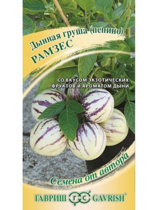 Семена Пепино, Рамзес, цветная упаковка, Гавриш