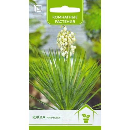 Семена Цветы, Юкка, нитчатая, цветная упаковка, Поиск