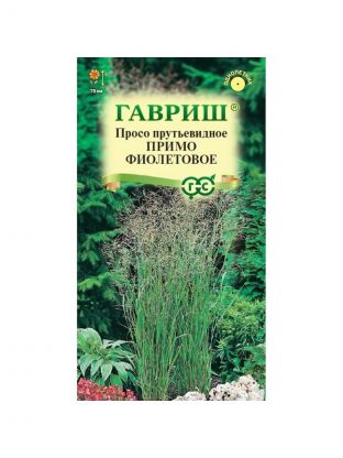 Семена Цветы, Просо, Примо фиолетовое, 0.5 г, декоративное, цветная упаковка, Гавриш