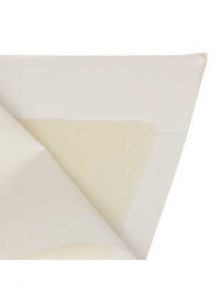 Родентицид Mr.Mouse, от крыс, ловушка клеевая