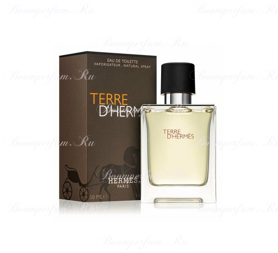 Hermès Terre d'Hermès 50 ml