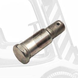 Болт специальный  4953.4 00.00.02, шт