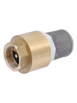Клапан обратный 1", с фильтром, ProFactor