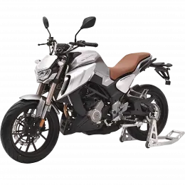 RegulMoto Alien Monster 300