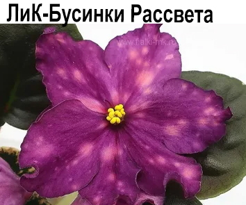 ЛиК-Бусинки Рассвета  (Г. Лазаренко). НОВИНКА КАТАЛОГА