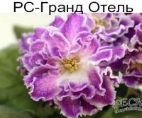РС-Гранд Отель
