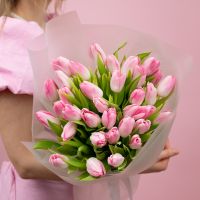 Тюльпаны светло-розовые 35шт