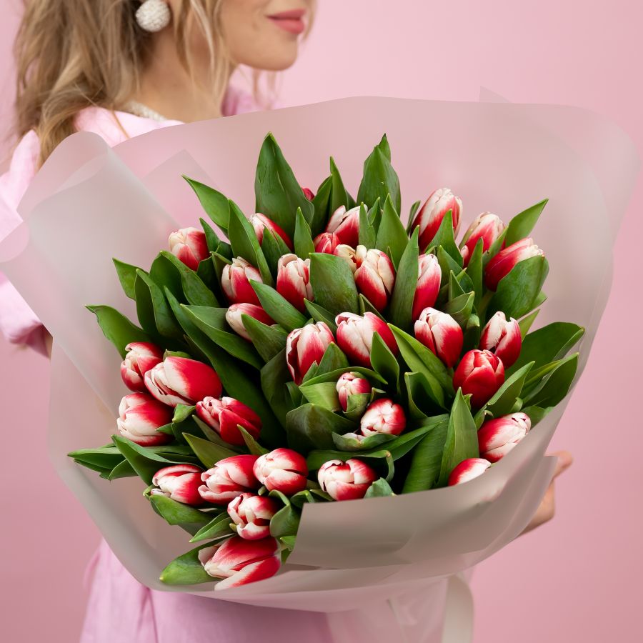 Тюльпаны красно-белые от 15шт