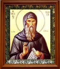 Икона Давид Эвбейский в киоте с басмой Виноградная Лоза (UV-печать)(30286)