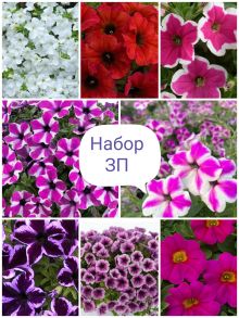 Набор 3П (петуния)
