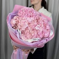 Монобукет из 5 гортензий