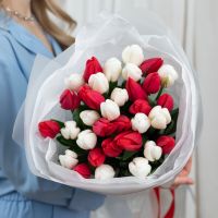 Красные и белые тюльпаны 35 штук