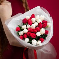 35 красно-белых тюльпанов