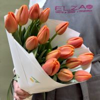 Тюльпаны оранжевые в упаковке (от 11 шт)