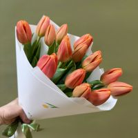 Тюльпаны оранжевые в упаковке (от 11 шт)
