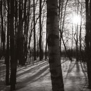 ARAN - Maahan Laskettu DIGIPAK