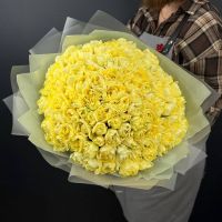 Желтые Пионовидные тюльпаны