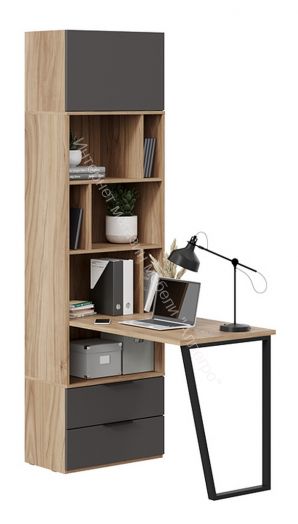 Шкаф комбинированный (366) «Порто» Исп.2 - ТД-393.07.20 Исп.2 Яблоня Беллуно, Графит софт