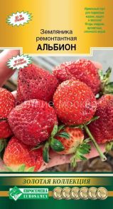 Земляника Альбион ремонтантная 15 шт. Евросемена