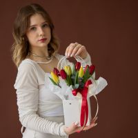 9 тюльпанов МИКС в сумочке