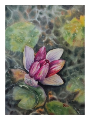 Акварель "Водяная лилия"