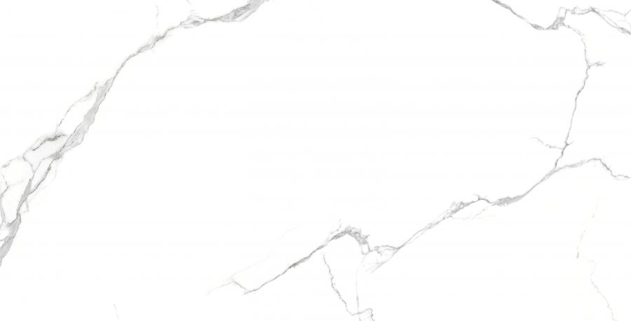 ARISTON CLASSIC 60x120