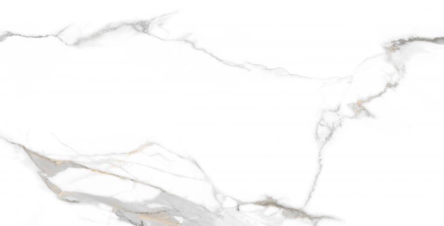 VENUS STATUARIO 60x120