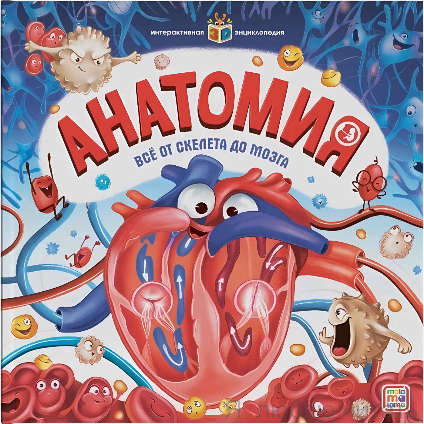 Анатомия. Интерактивная энциклопедия