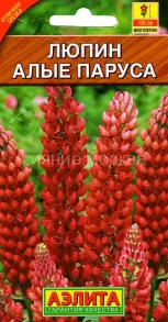 Люпин Алые паруса красный многолетний, 15 шт., Аэлита