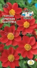 Georgina-Krasnaya-shapochka-0-15-g-SeDeK
