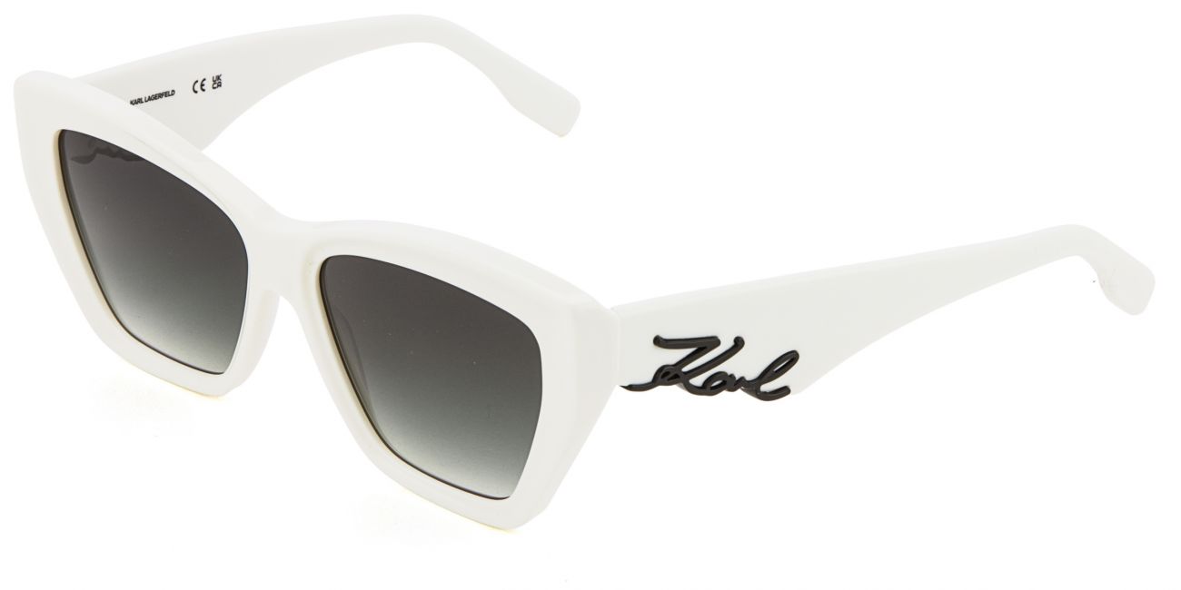 Karl Lagerfeld KL 6179S 105