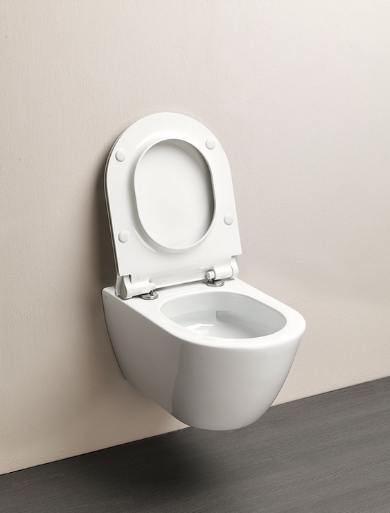 Подвесной унитаз GSI Pura 881511 55х36 ФОТО