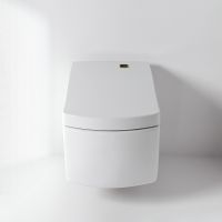 Унитаз биде TOTO Neorest AC CW996P с функцией биде схема 2