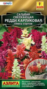 Сальвия Редди карликовая, смесь (Аэлита)