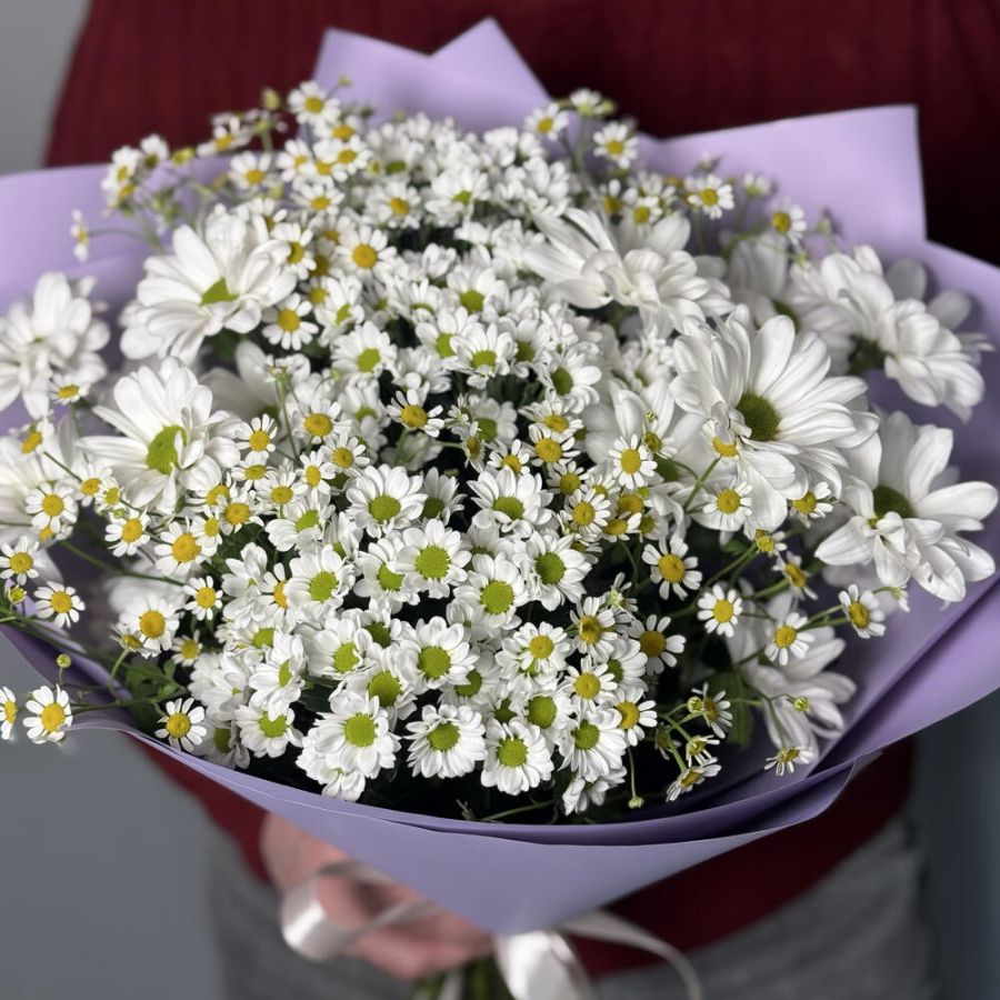 Микс из ромашек размер S