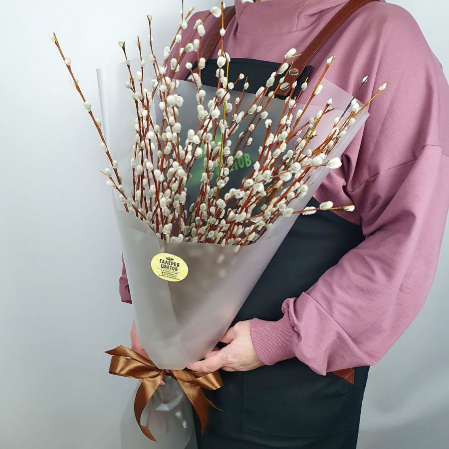 Эко-букет из 51 вербы