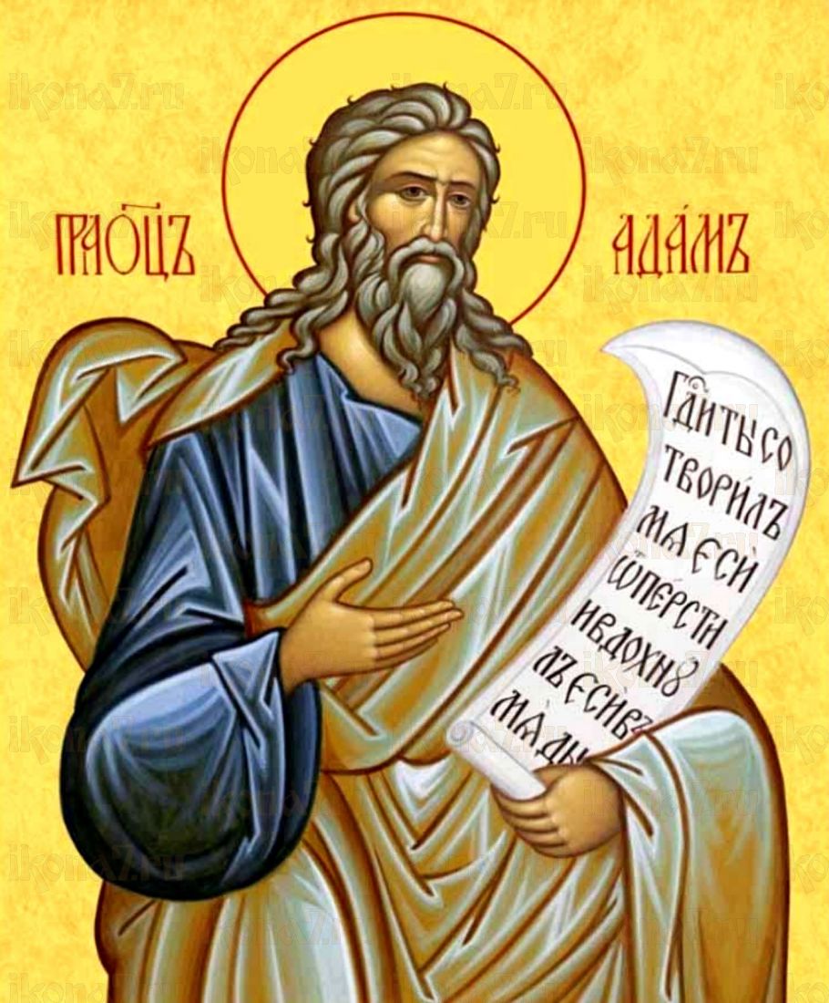 Адам Праотец рукописная Икона на липовой доске (22519)