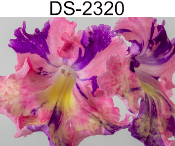 DS-2320 (Диметрис)