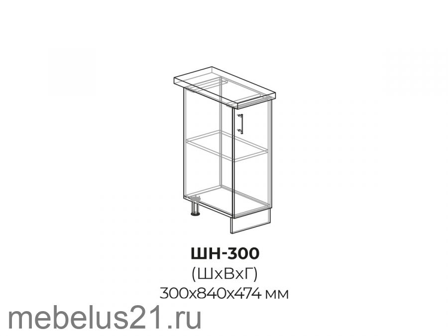 Модуль ШН300