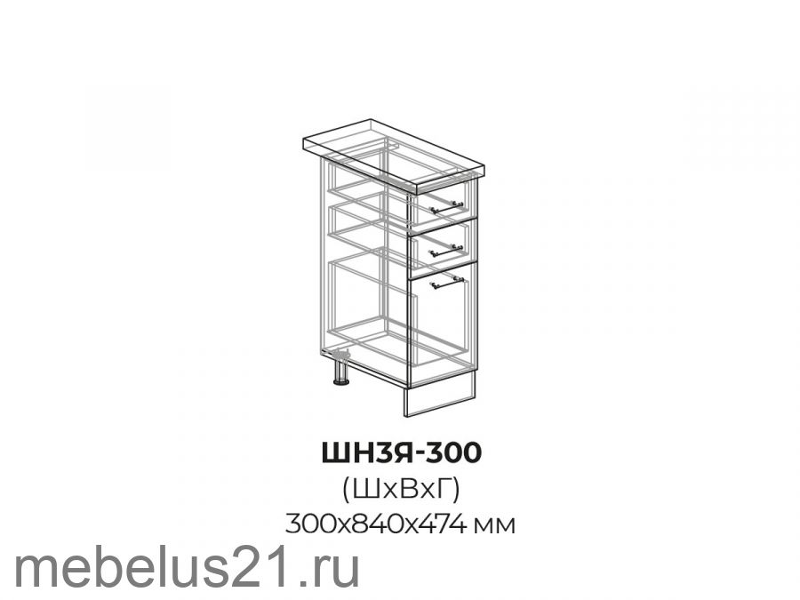 Модуль с 3 ящиками ШН3Я300
