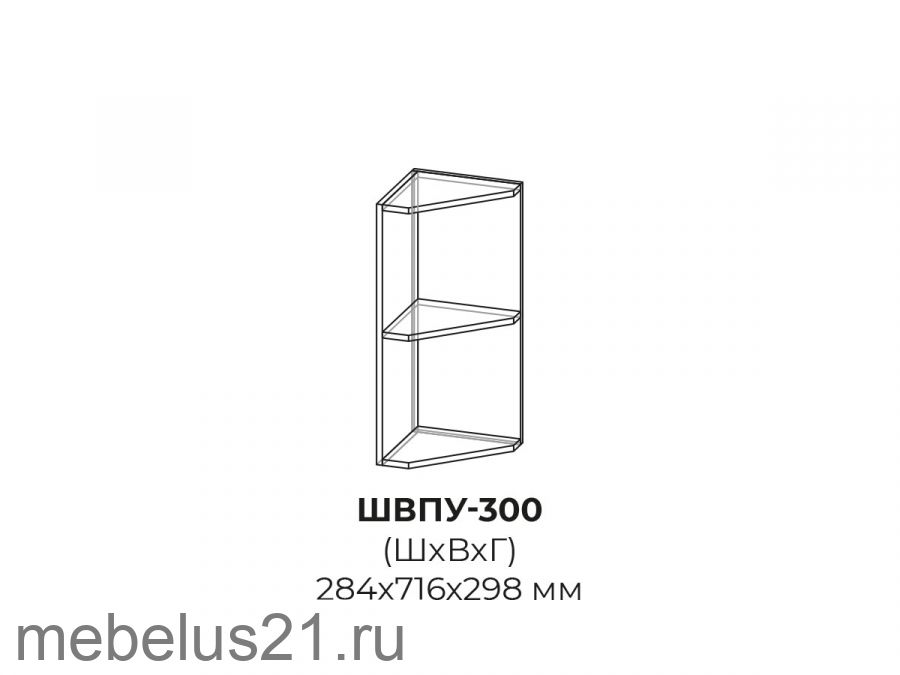 Модуль торцевой ШВТ300