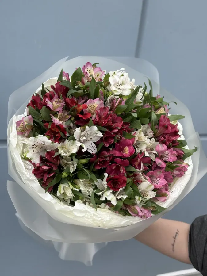 Букет из 25 Альстромерий