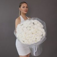 Хризантема (сорт Алтай) 25 шт