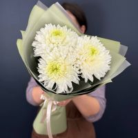 Букет-комплимент из 3 хризантем
