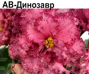 АВ-Динозавр