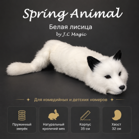 Белая лисица by J.C Magic