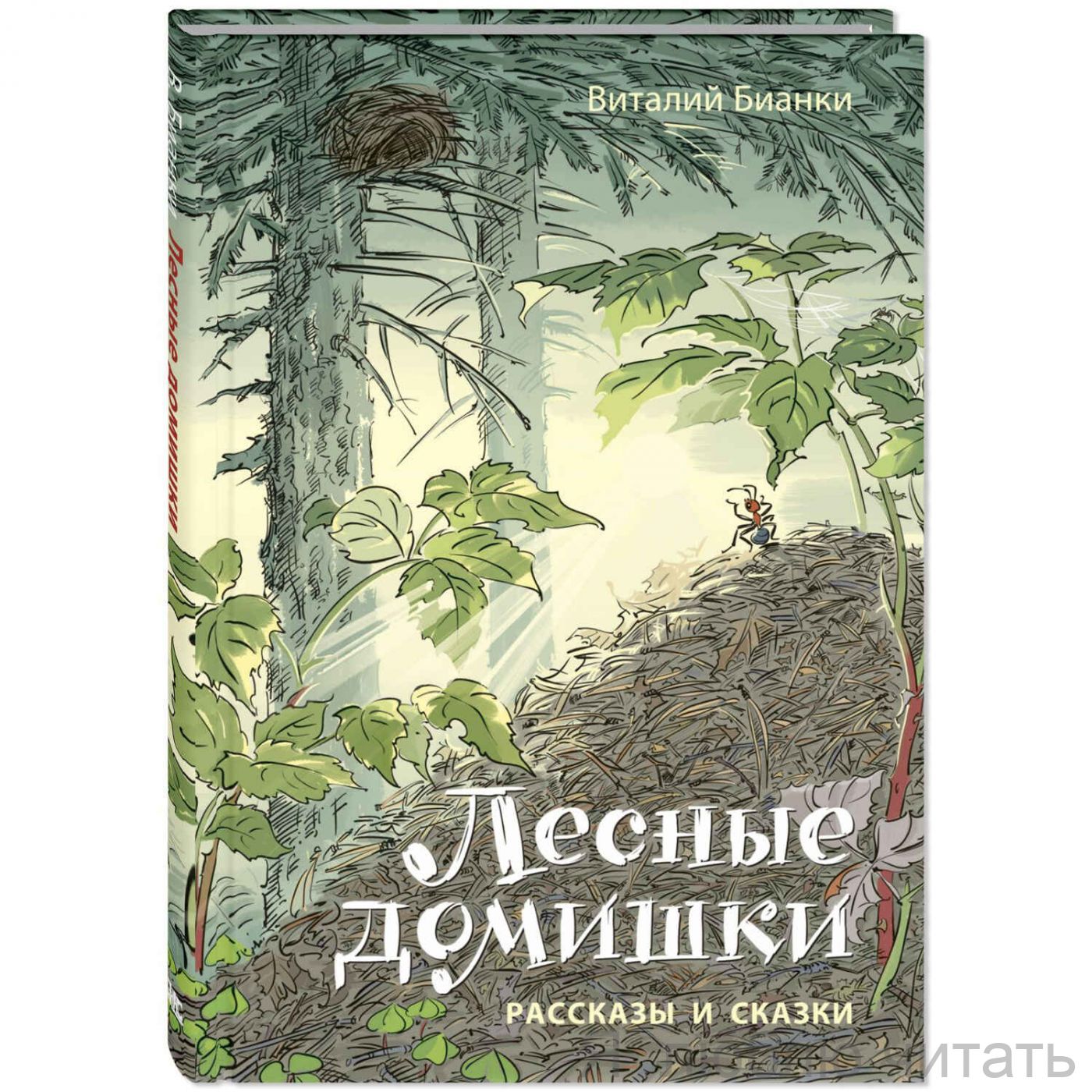 Лесные домишки
