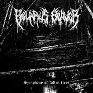 BELARUS BEAVER - Symphony Of Fallen Trees